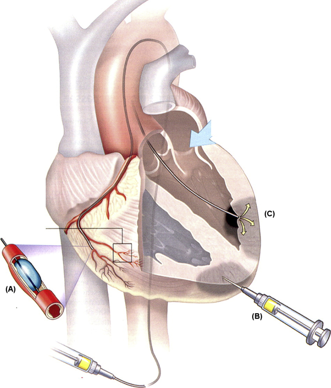 Figure 3