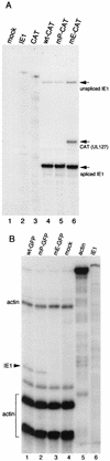 FIG. 5.