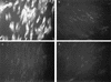 FIG. 9.