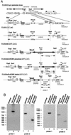 FIG. 7.