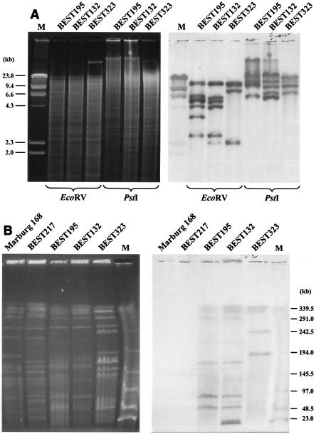 FIG. 6.