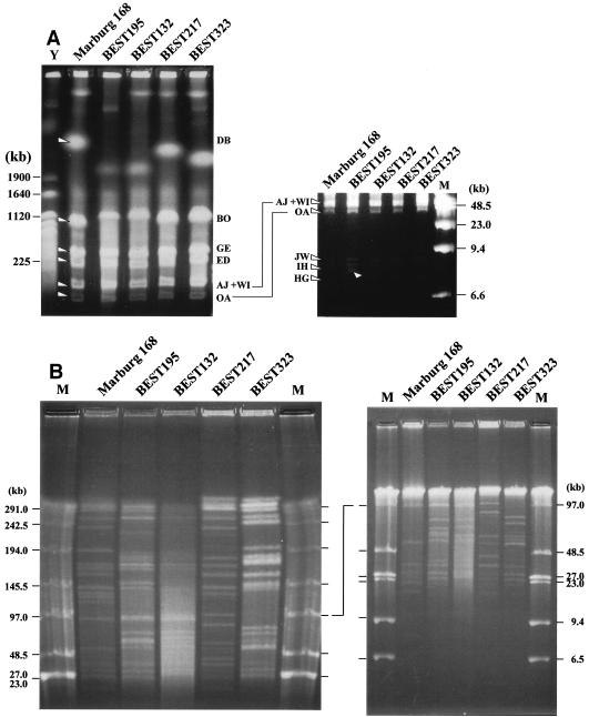 FIG. 3.