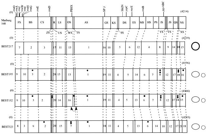 FIG. 5.