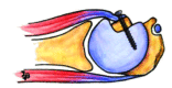 Fig. (3)
