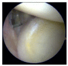 Fig. (8)