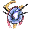 Fig. (14)
