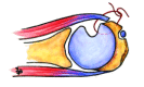 Fig. (2)