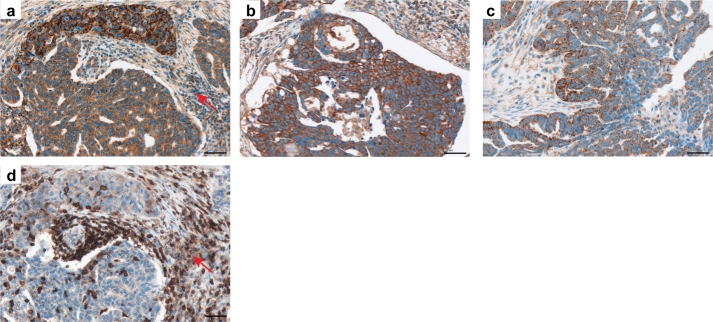 Fig. 11