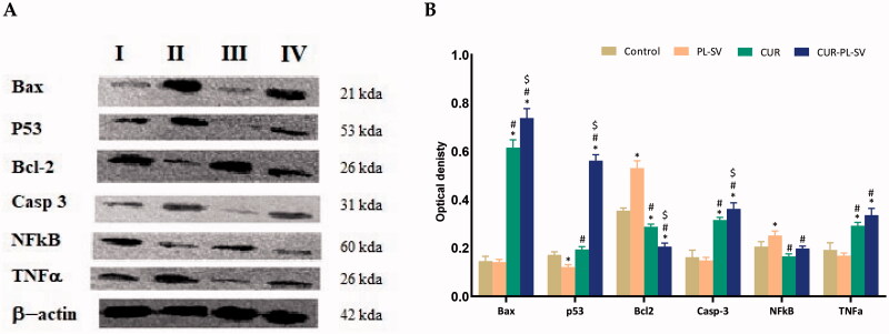 Figure 10.