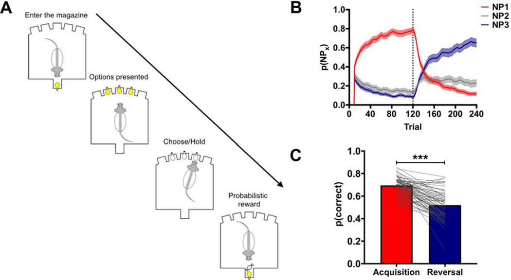 Figure 1: