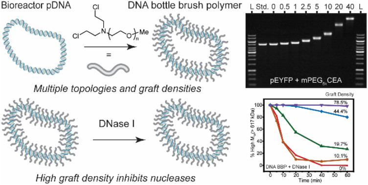 graphic file with name d5py00082c-ga.jpg