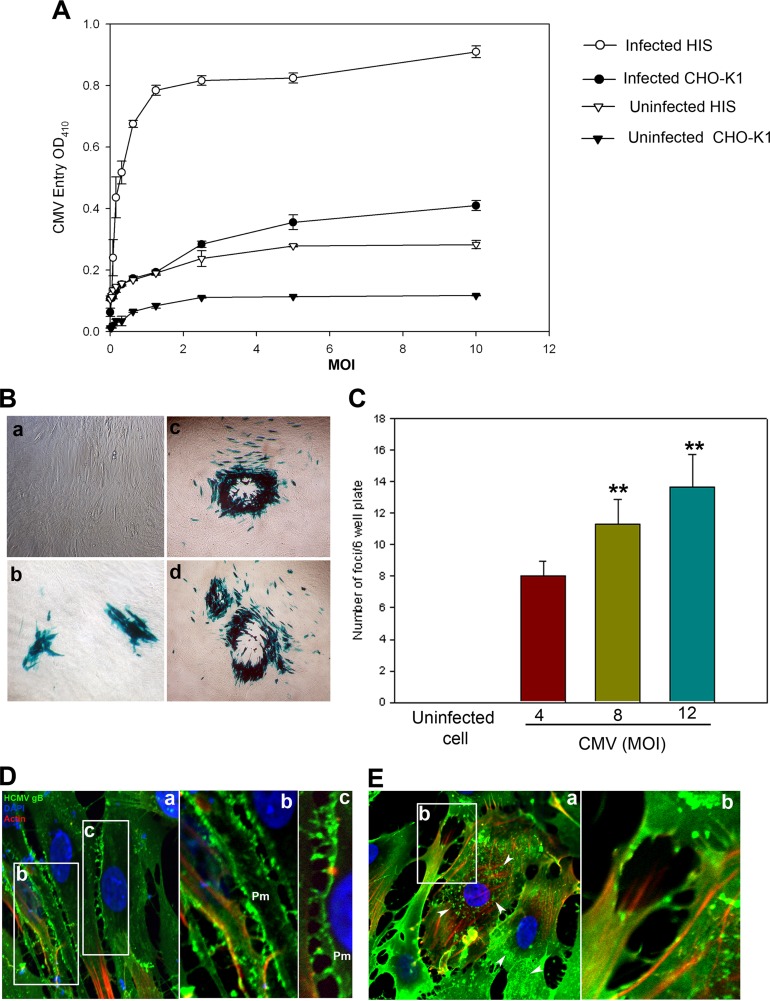 FIG 1