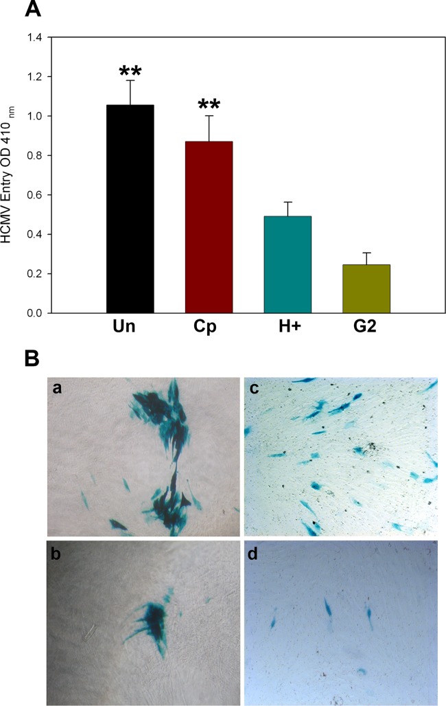 FIG 2