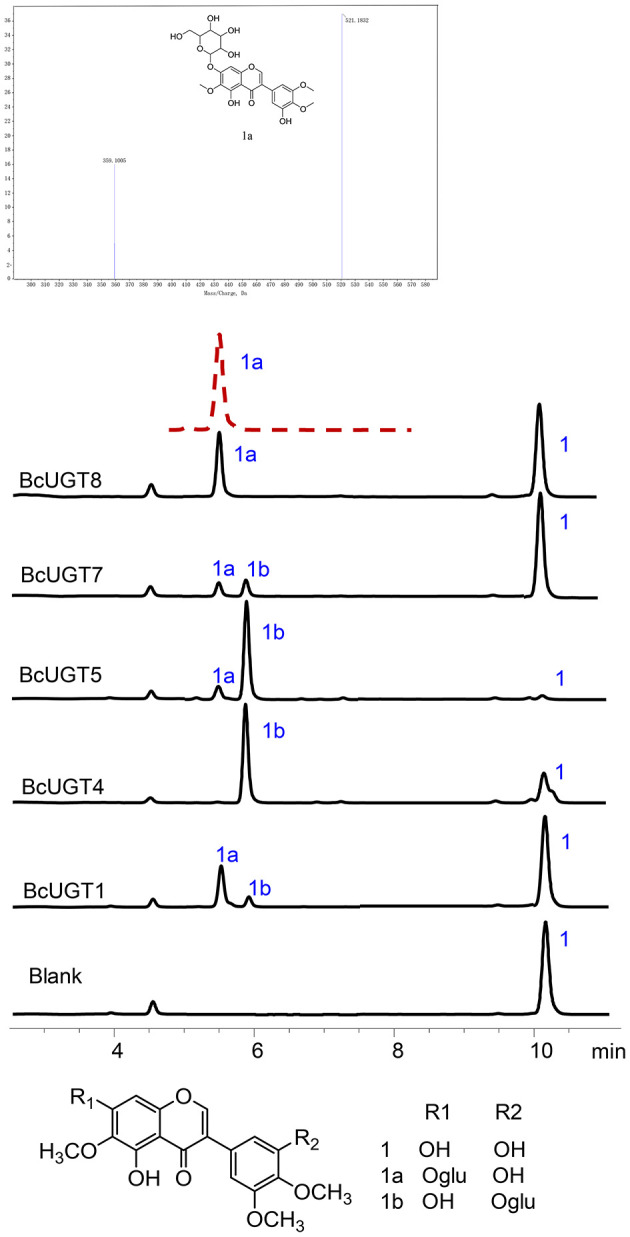 Figure 5