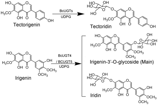 Figure 9