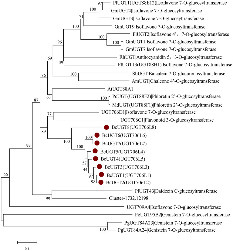 Figure 6