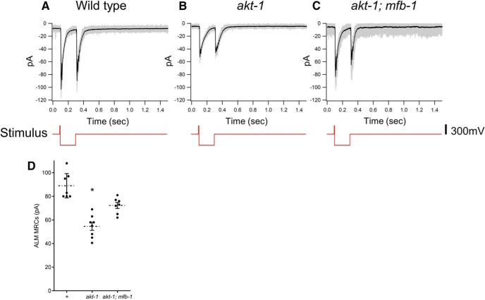 Figure 6.