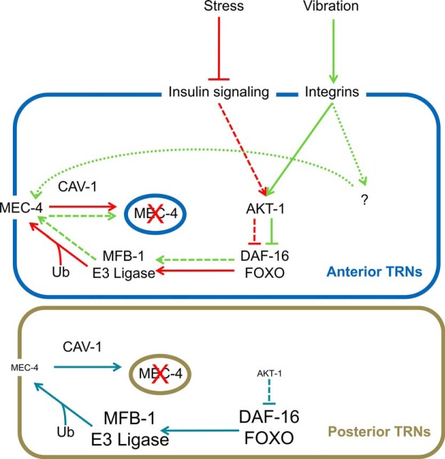 Figure 9.