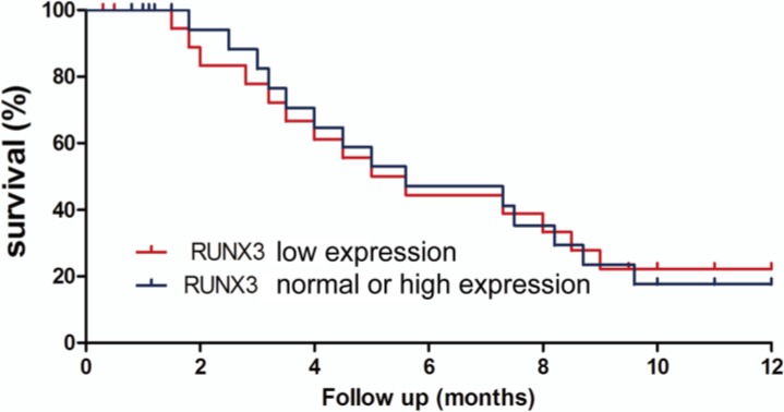 Fig. 3: