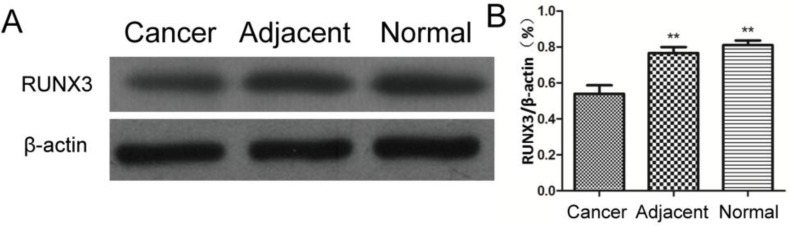 Fig. 2: