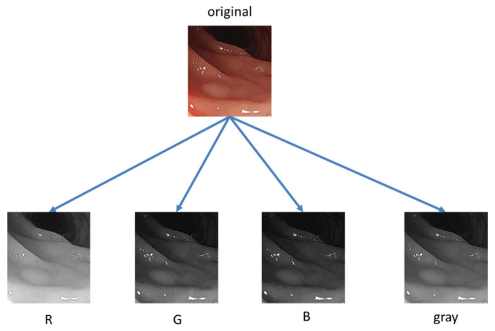 Figure 4