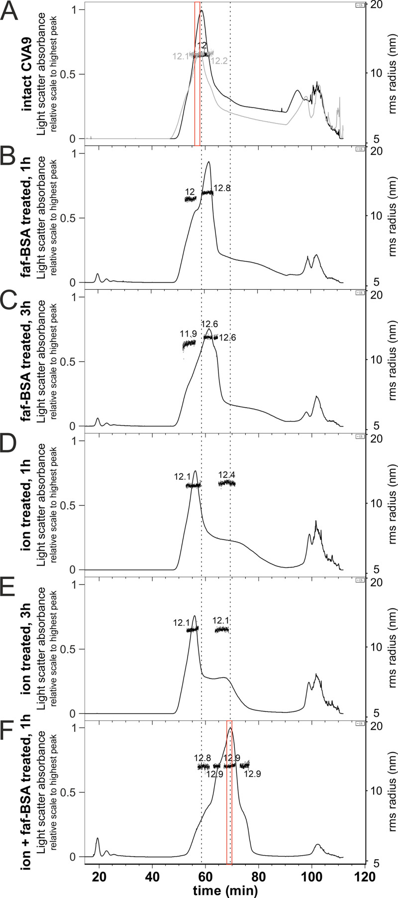 FIG 2