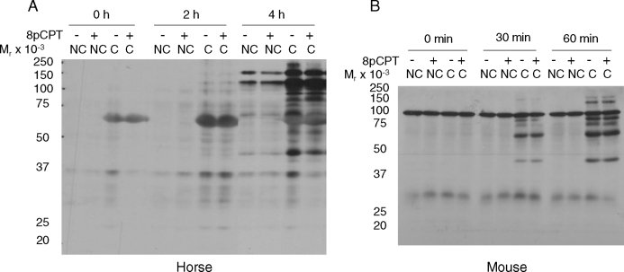 FIG. 7.