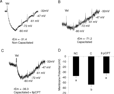 FIG. 9.