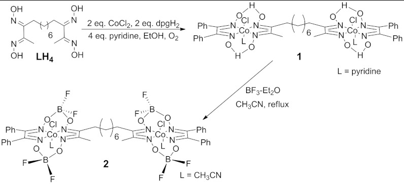 Scheme 1.