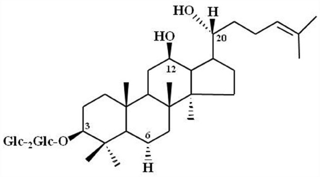 FIGURE 3