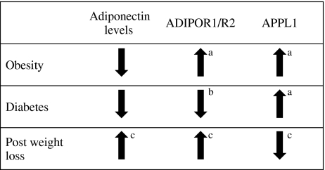 Fig. 6