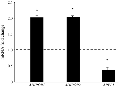 Fig. 4