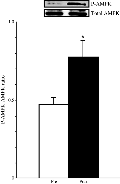 Fig. 5