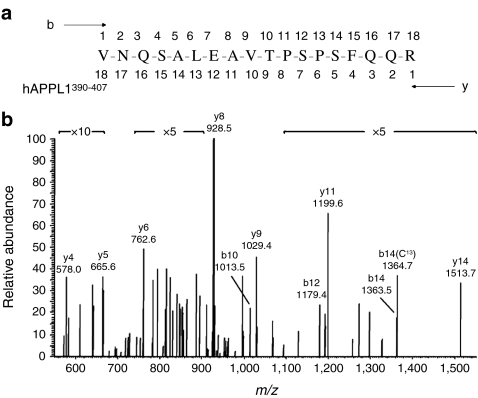 Fig. 2