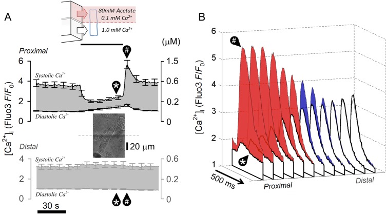 Figure 5