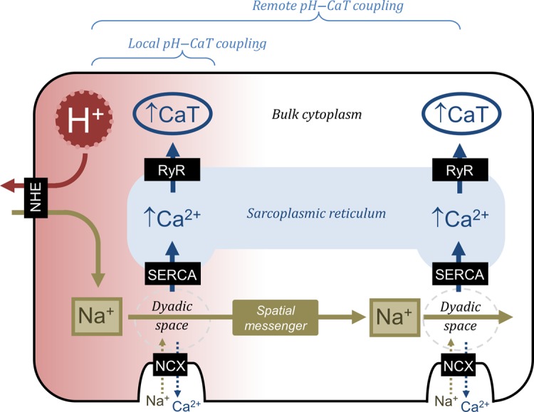 Figure 7