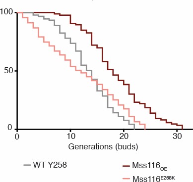 Figure 1—figure supplement 4.