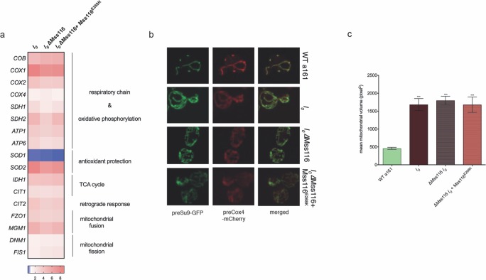 Figure 2—figure supplement 2.