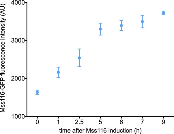 Figure 2—figure supplement 3.