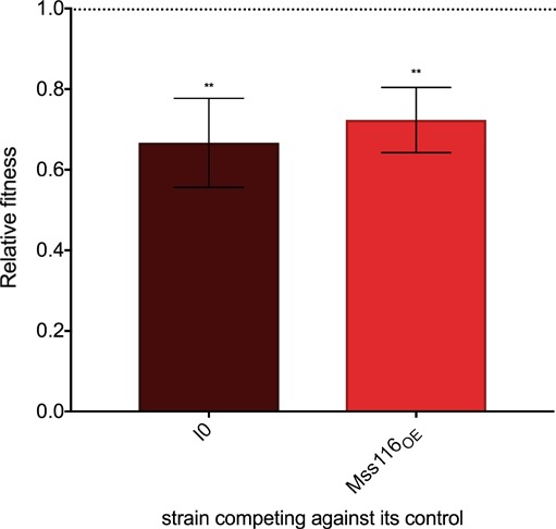 Figure 1—figure supplement 1.