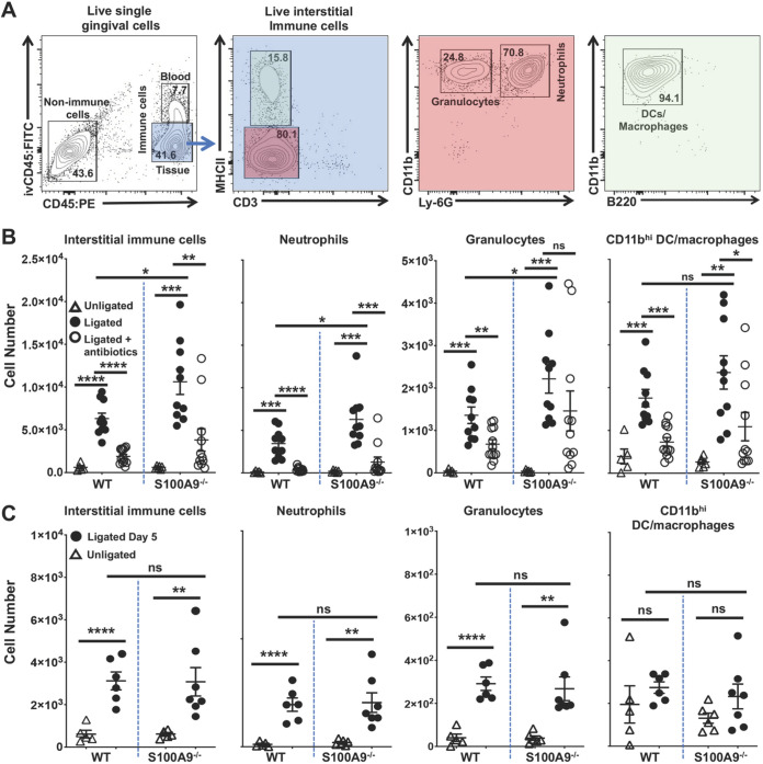 FIG 3