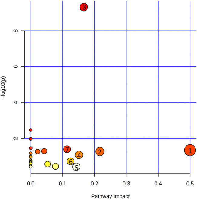 FIGURE 10