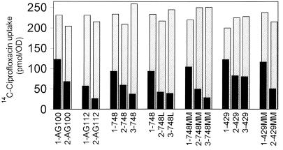 FIG. 1