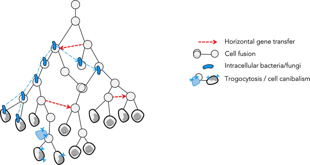 Figure 3|