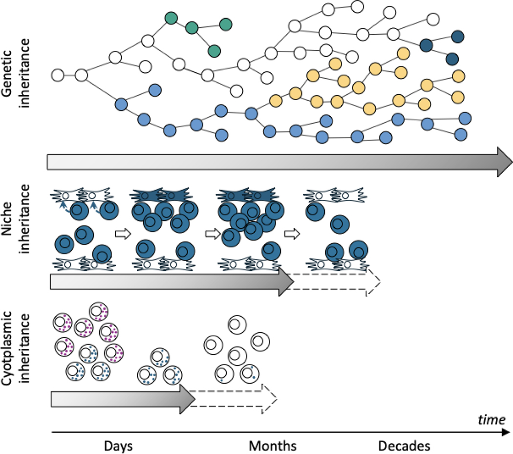 Figure 4|