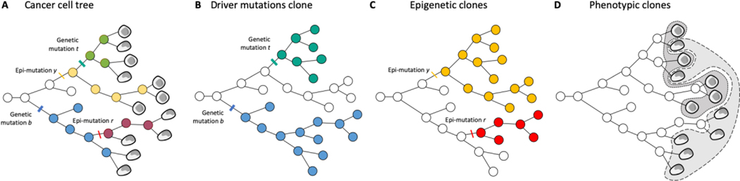 Figure 2|