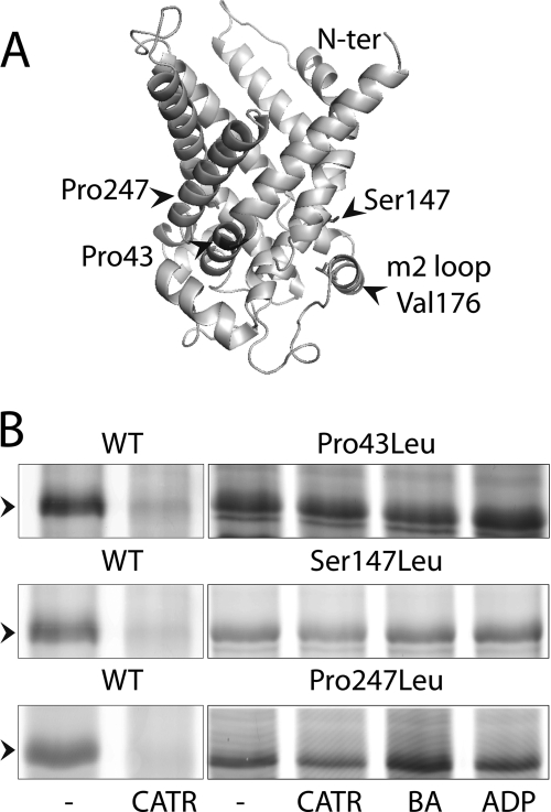 FIGURE 6.