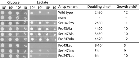 FIGURE 2.