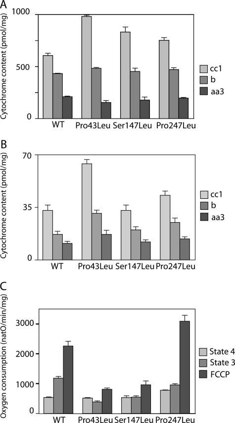 FIGURE 4.