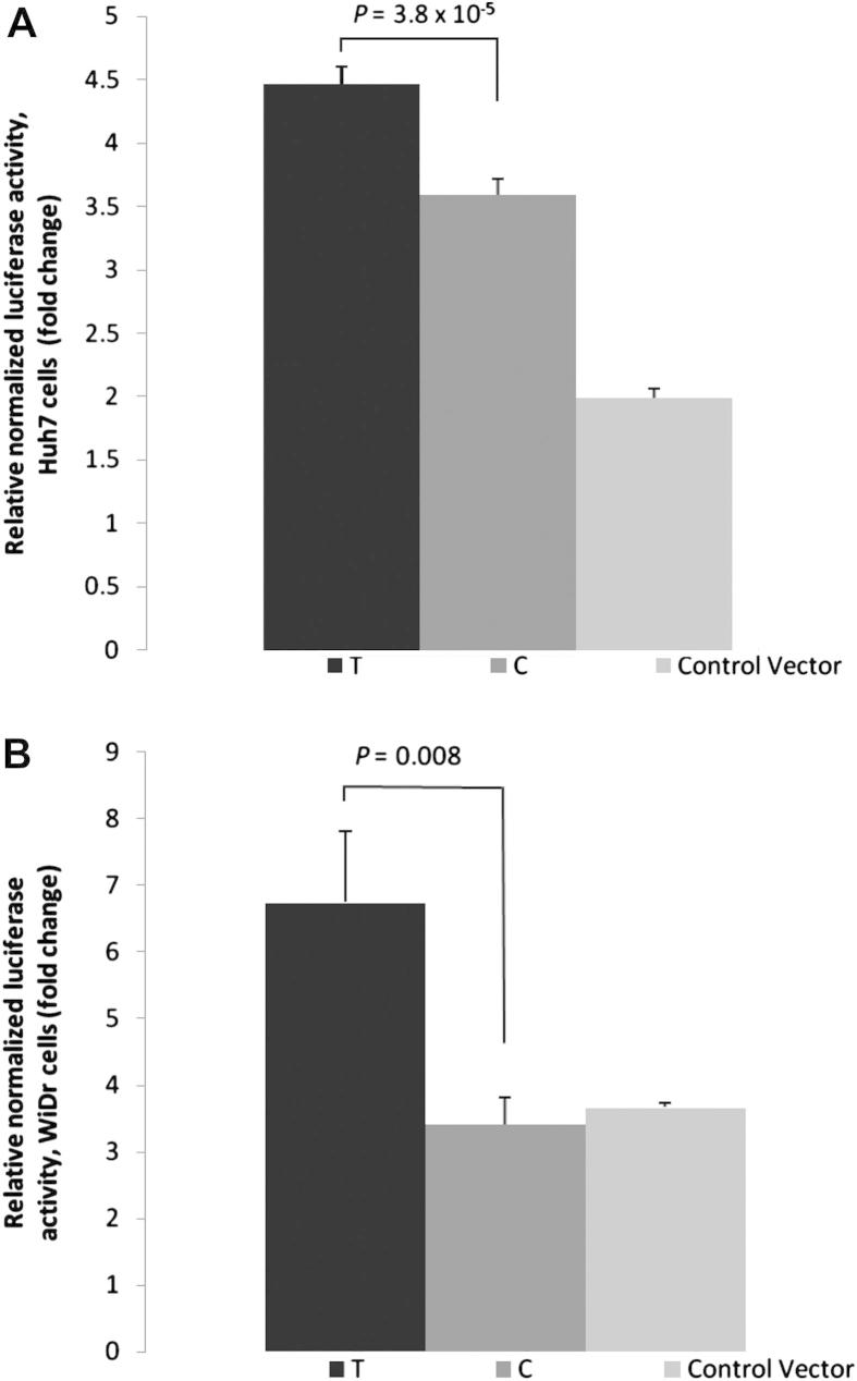 Figure 5